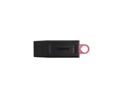 KINGSTON TECHNOLOGY DataTraveler Exodia (256 GB, USB 3.1 Type-A)